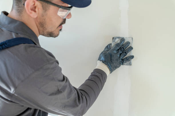 Best Drywall Removal and Disposal  in Fiskdale, MA